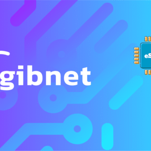Gibnet Unlimited - 10 days