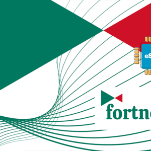 Fortnet 1 GB - 7 Days